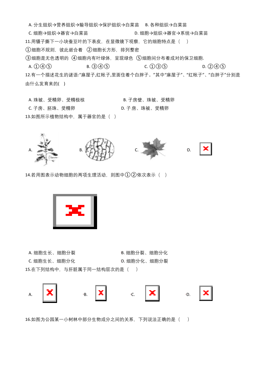 人教版七年级上册生物期末复习试题.docx_第2页