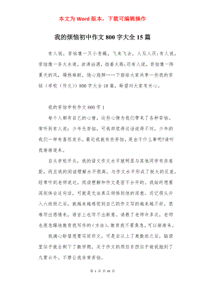 我的烦恼初中作文800字大全15篇.docx