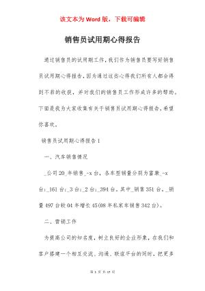 销售员试用期心得报告.docx