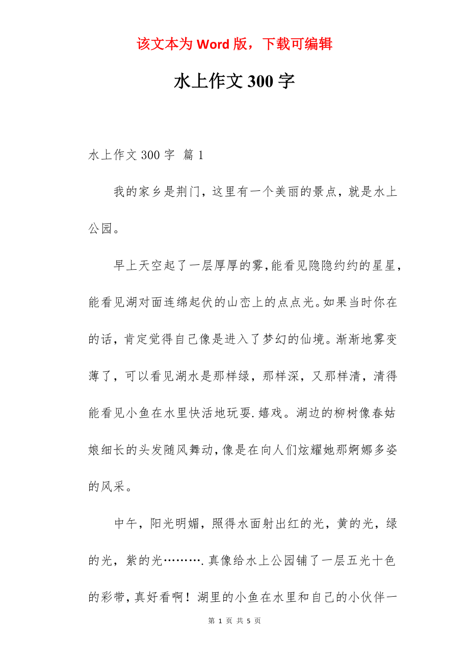 水上作文300字.docx_第1页