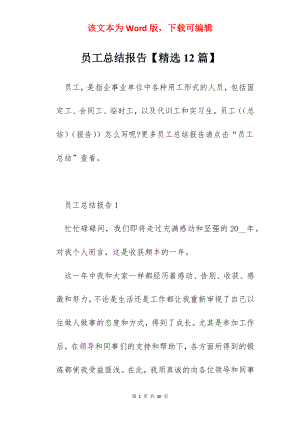 员工总结报告【精选12篇】.docx