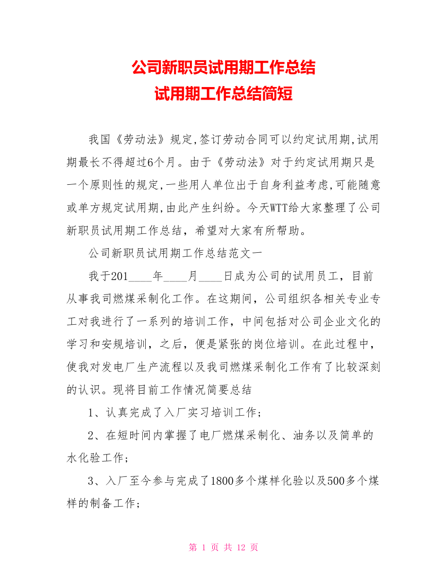 公司新职员试用期工作总结 试用期工作总结简短.doc_第1页