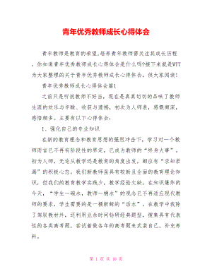 青年优秀教师成长心得体会.doc