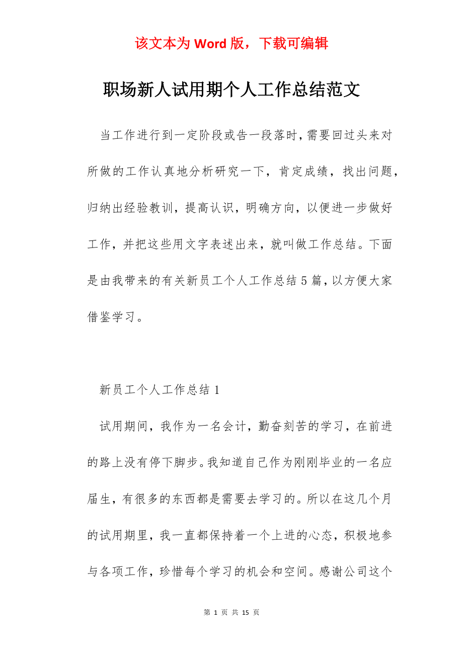 职场新人试用期个人工作总结范文.docx_第1页