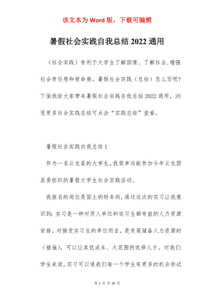 暑假社会实践自我总结2022通用.docx