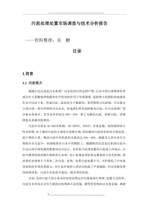 污泥处理处置市场调查与技术分析报告-0806.docx