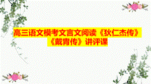 高考语文复习-《狄仁杰传》《戴胄传》讲评课件21张.pptx