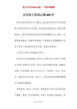 公司员工军训心得800字.docx