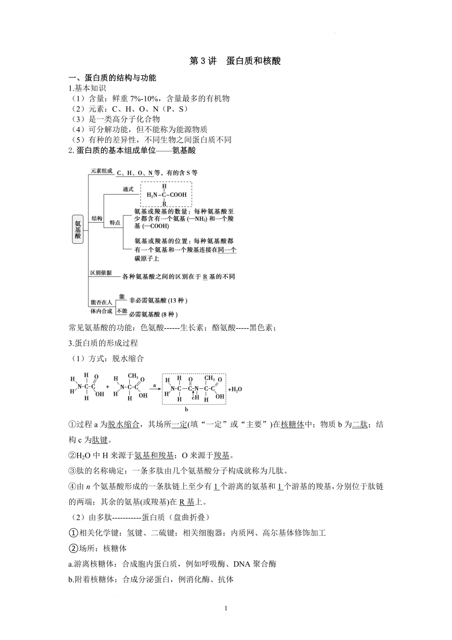 高三生物一轮复习讲义第3讲蛋白质和核酸.docx_第1页