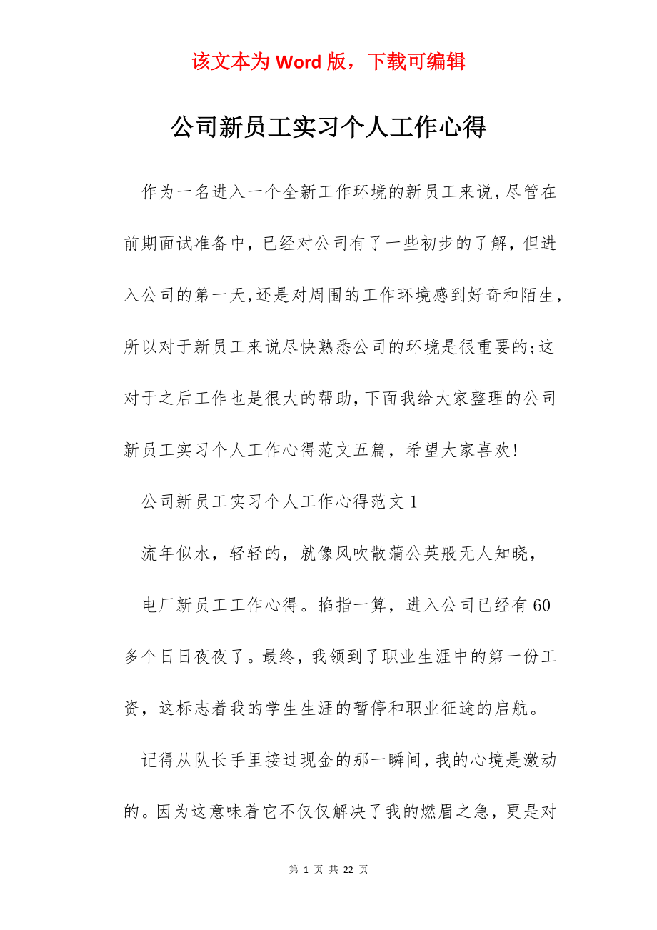 公司新员工实习个人工作心得.docx_第1页