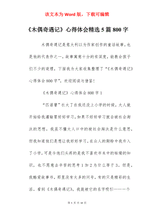 《木偶奇遇记》心得体会精选5篇800字.docx