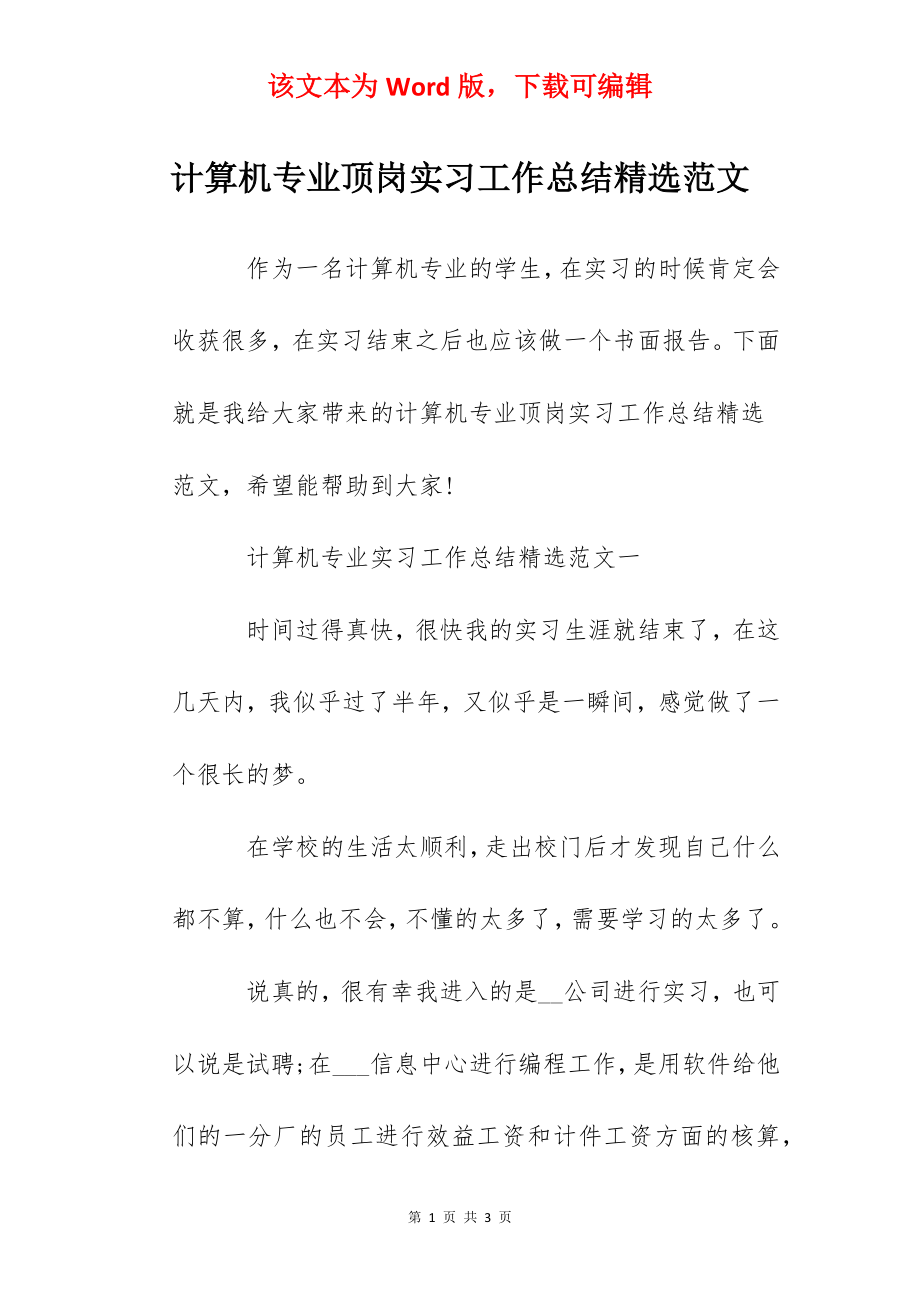 计算机专业顶岗实习工作总结精选范文.docx_第1页