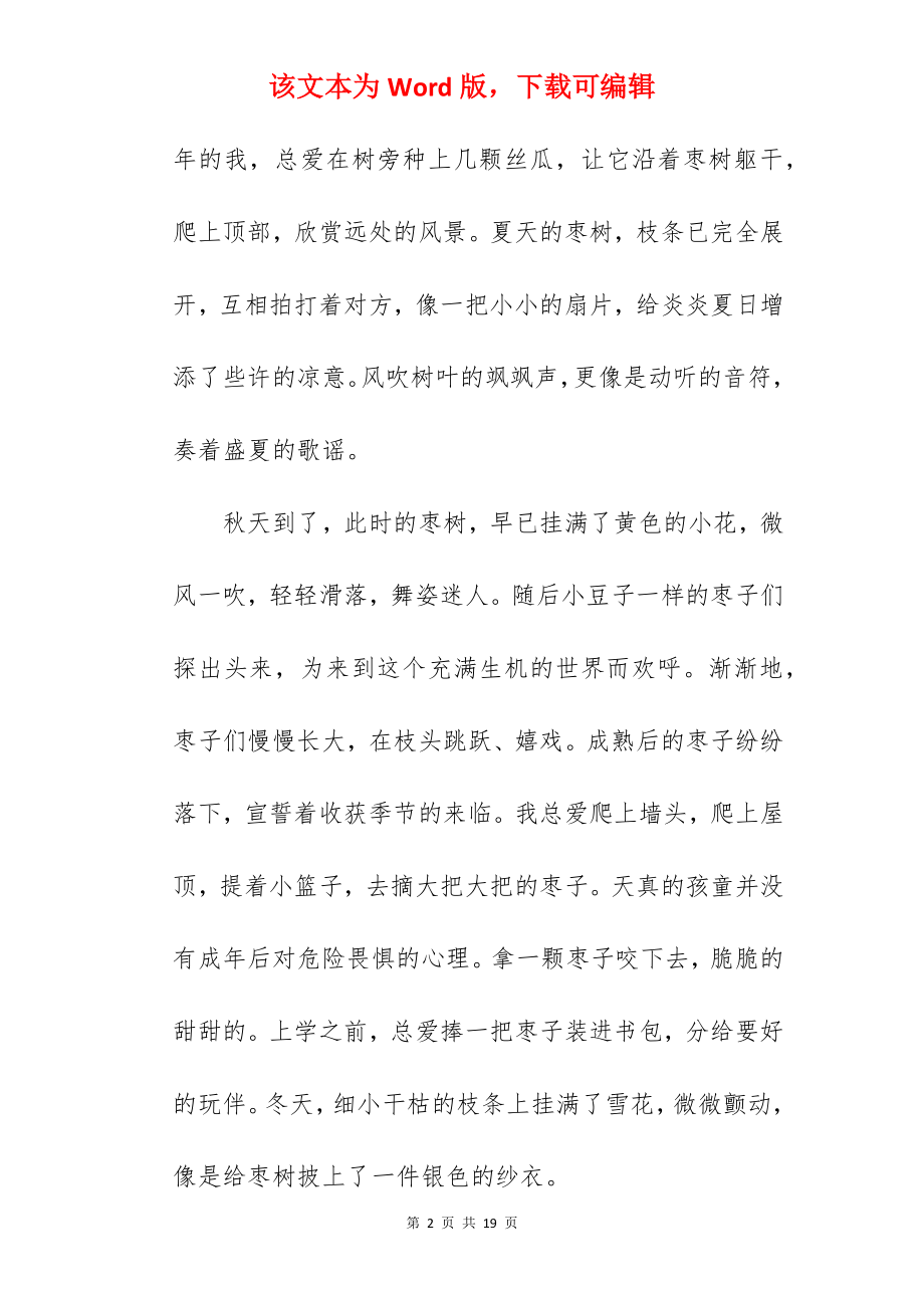 树的作文600字.docx_第2页