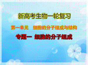 高三生物一轮复习课件：专题1　细胞的分子组成 .pptx