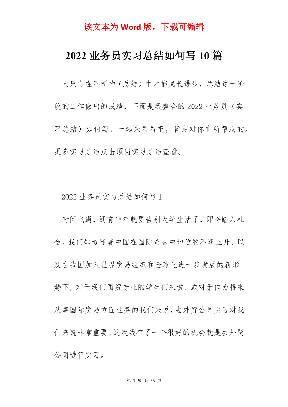 2022业务员实习总结如何写10篇.docx_第1页