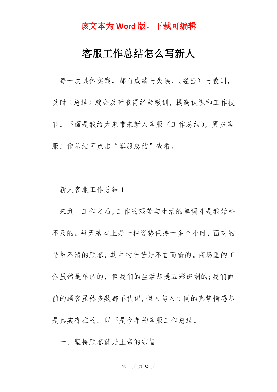 客服工作总结怎么写新人.docx_第1页