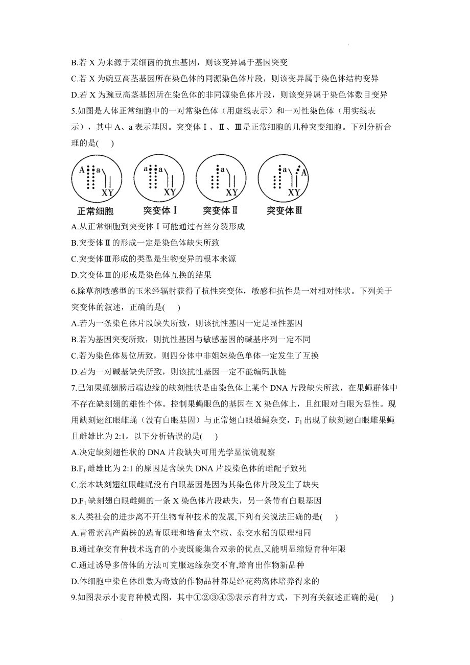 高考生物一轮复习专项练习：专题十一 生物的变异和进化 综合练习（B卷）.docx_第2页