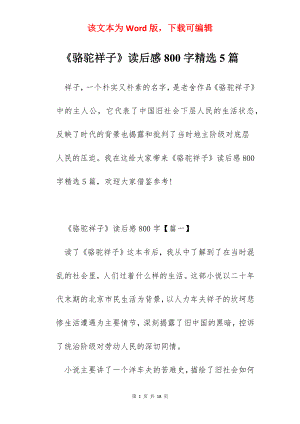 《骆驼祥子》读后感800字精选5篇.docx