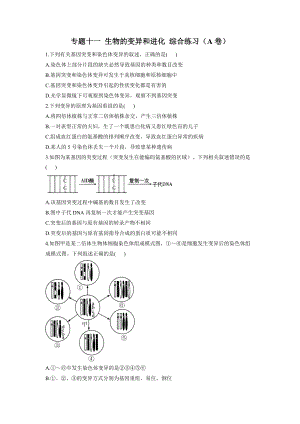 高考生物一轮复习专项练习：专题十一 生物的变异和进化 综合练习（A卷）.docx