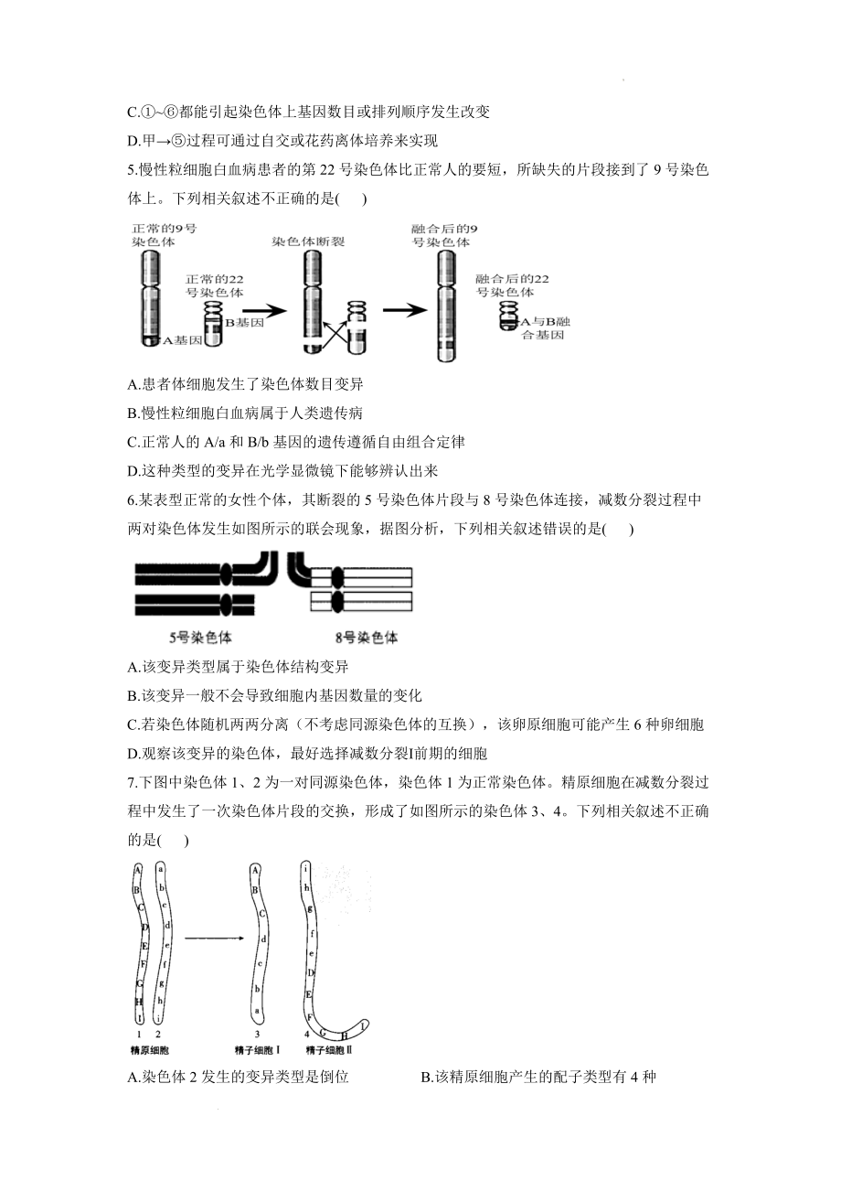 高考生物一轮复习专项练习：专题十一 生物的变异和进化 综合练习（A卷）.docx_第2页