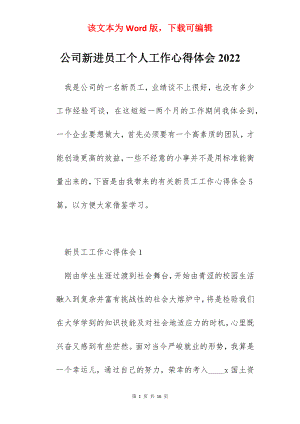 公司新进员工个人工作心得体会2022.docx