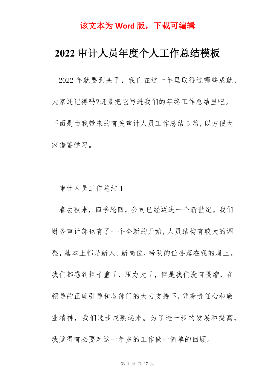 2022审计人员年度个人工作总结模板.docx_第1页