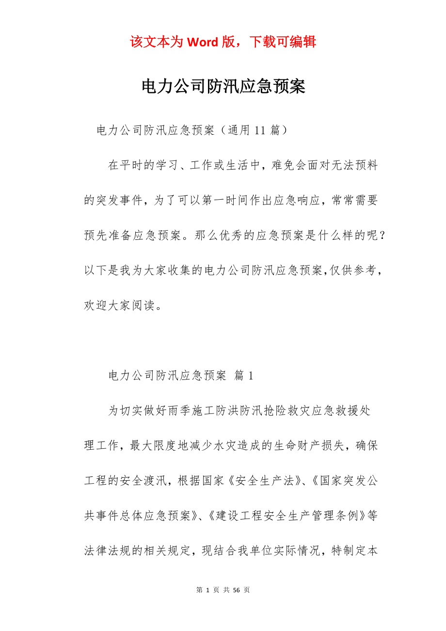 电力公司防汛应急预案.docx_第1页