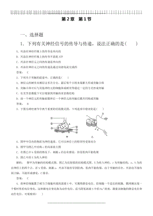 (人教版)高中生物必修三：2.1《通过神经系统的调节》同步练习(含答案).doc