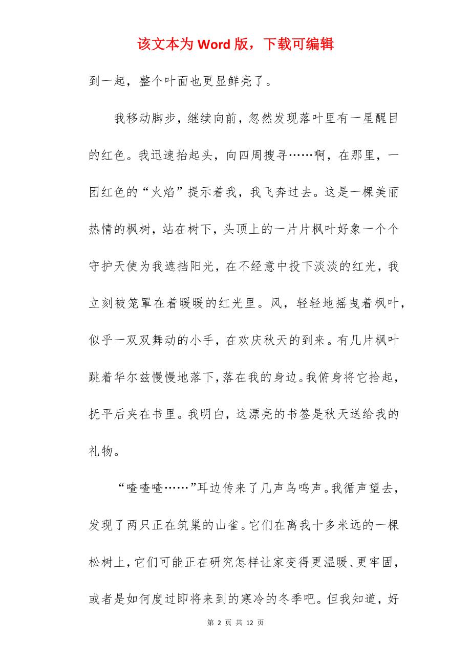 发现的美丽作文.docx_第2页