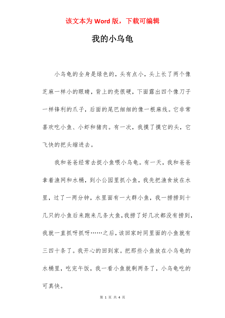 我的小乌龟.docx_第1页