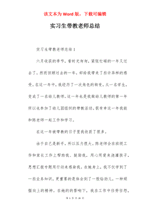 实习生带教老师总结.docx