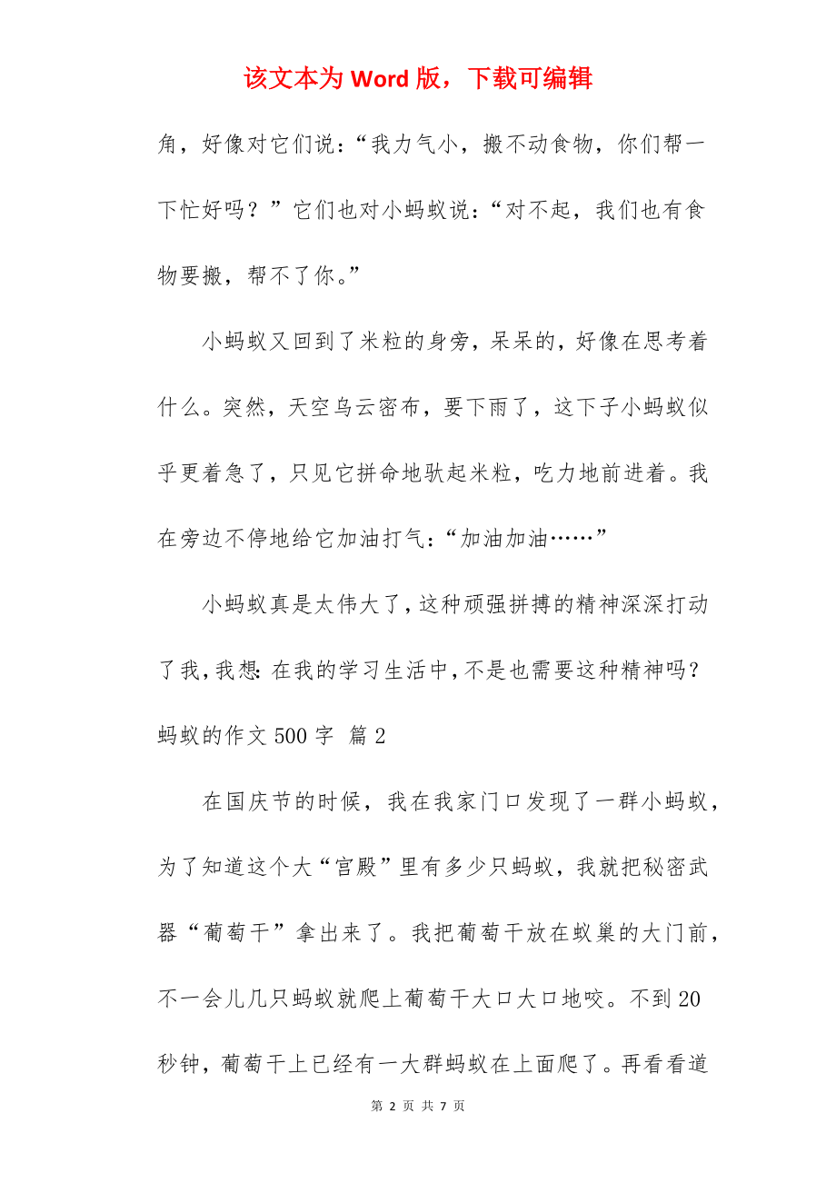 蚂蚁的作文500字.docx_第2页