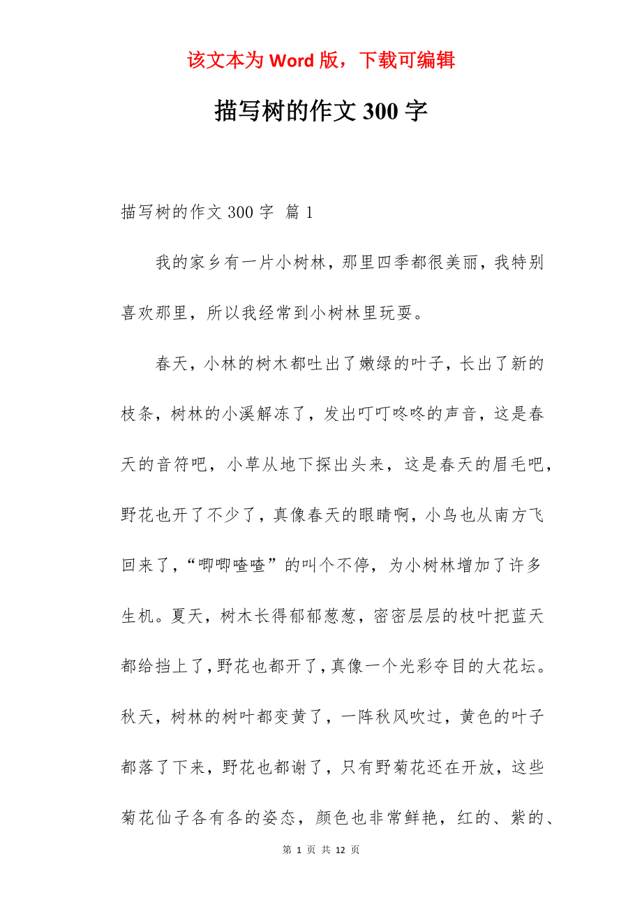 描写树的作文300字.docx_第1页