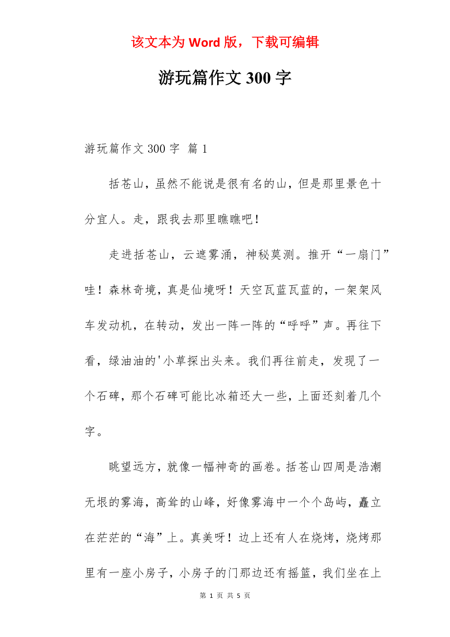 游玩篇作文300字.docx_第1页