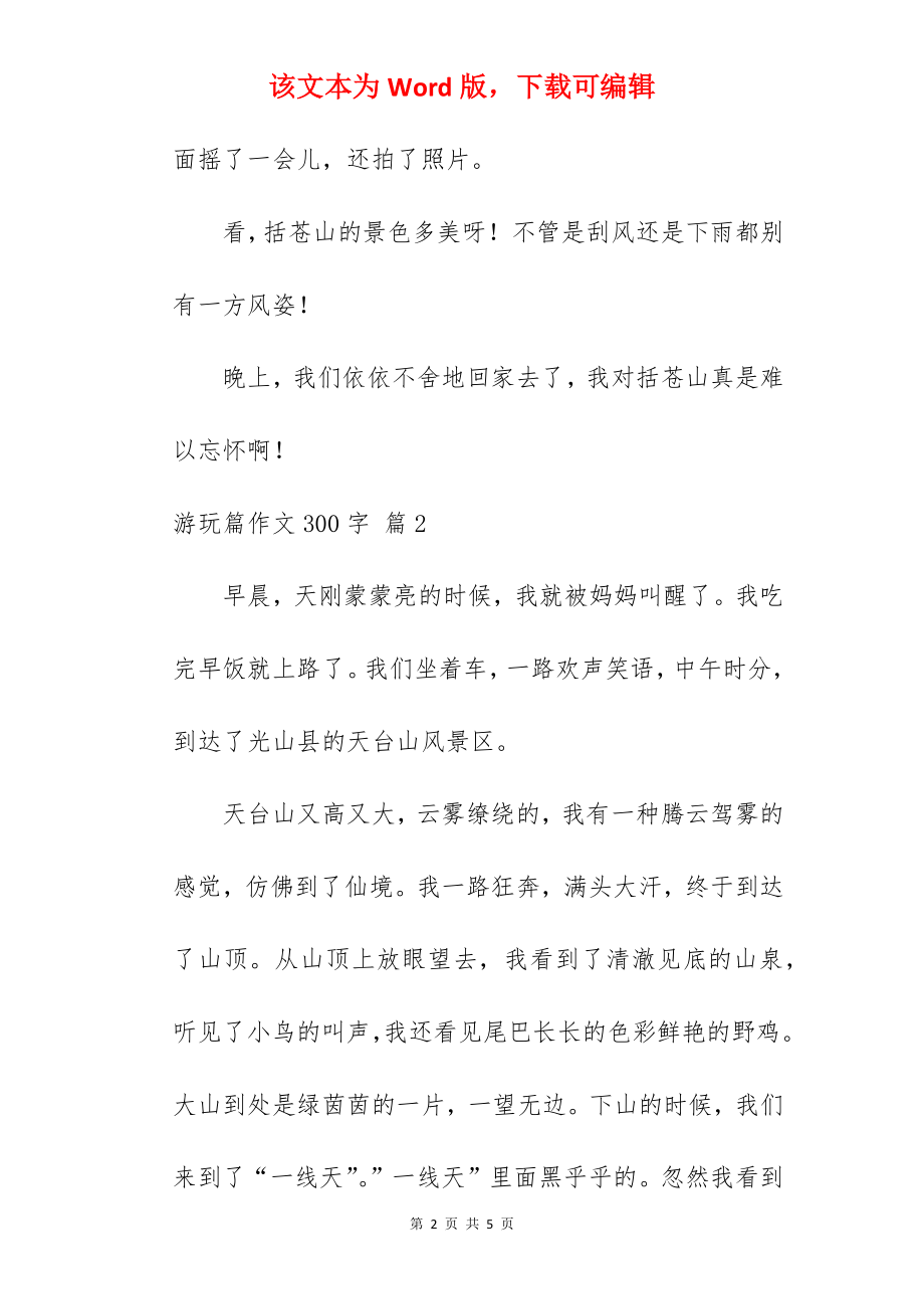 游玩篇作文300字.docx_第2页