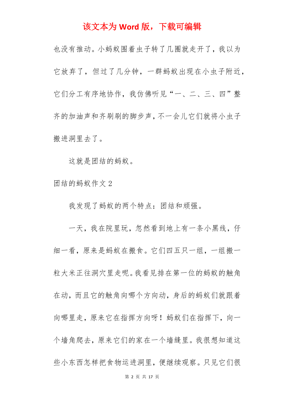 团结的蚂蚁作文.docx_第2页