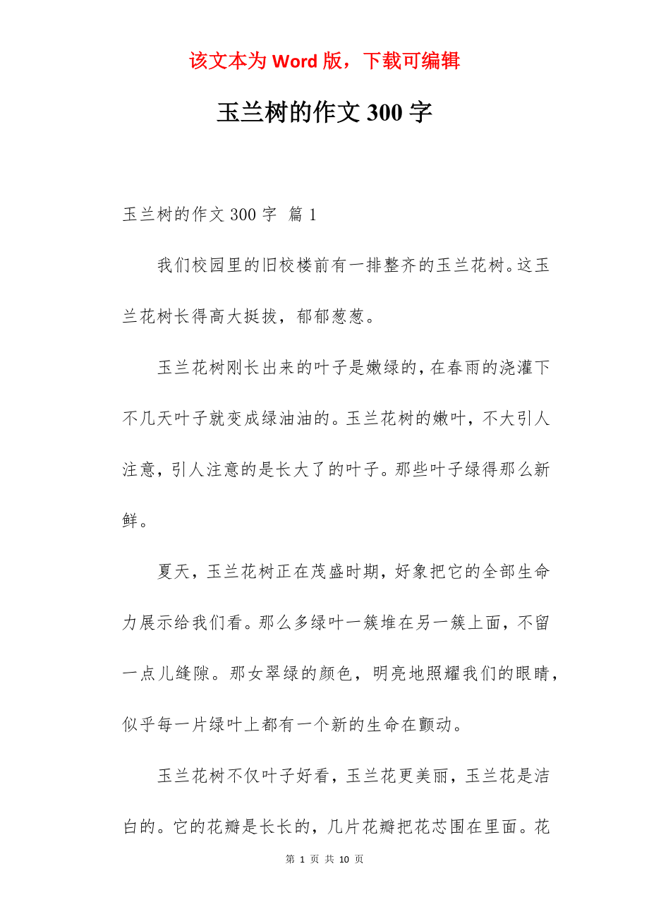 玉兰树的作文300字.docx_第1页