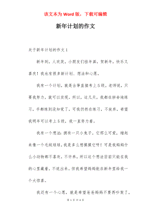 新年计划的作文.docx