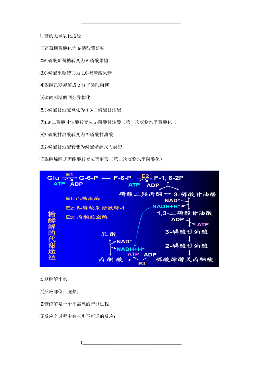 第八章糖的分解代谢.docx_第2页