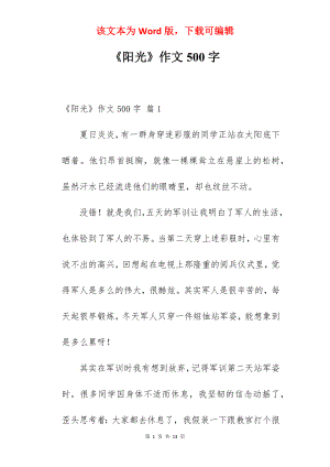 《阳光》作文500字.docx