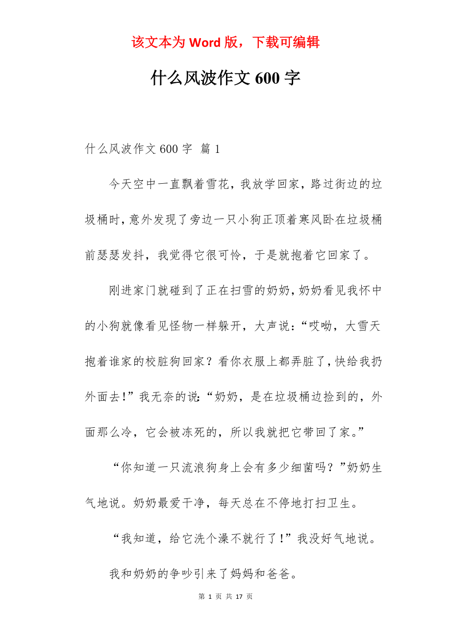 什么风波作文600字.docx_第1页