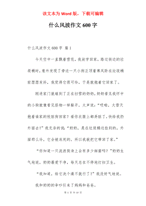 什么风波作文600字.docx