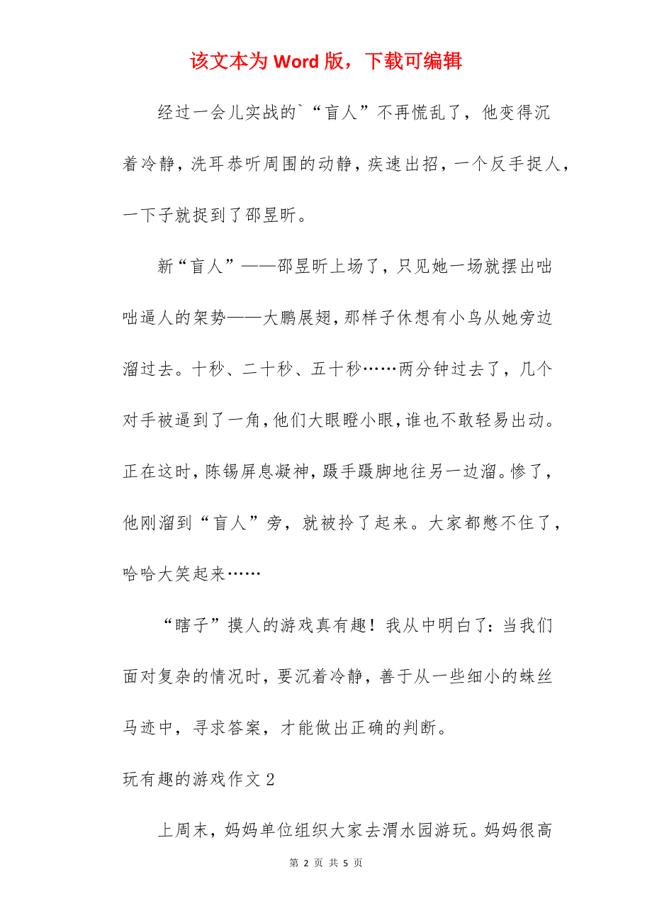 玩有趣的游戏作文.docx_第2页