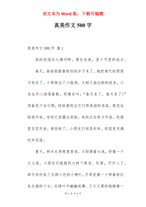 真美作文500字.docx