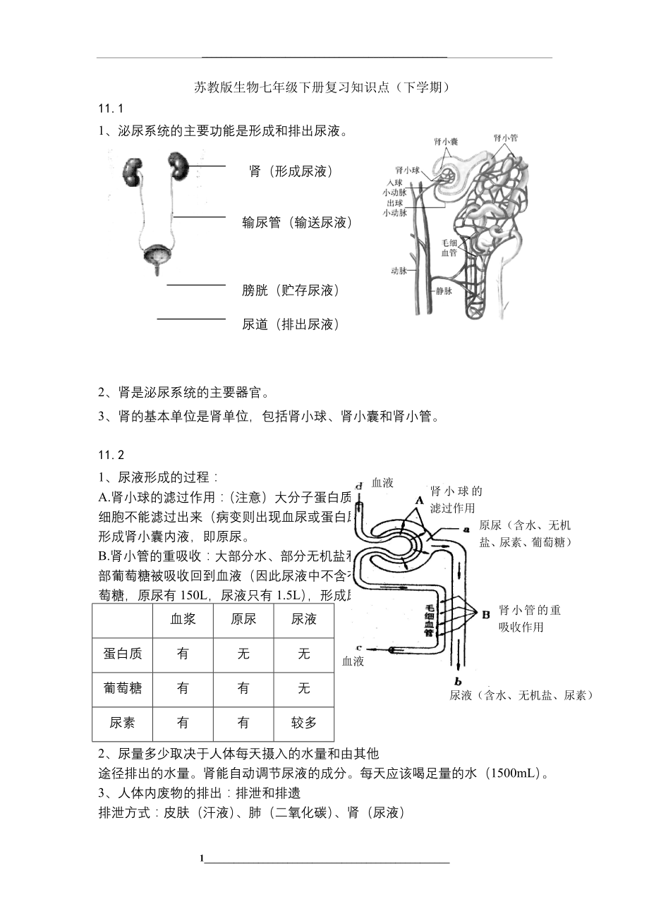 苏教版生物七年级下册复习知识点.doc_第1页