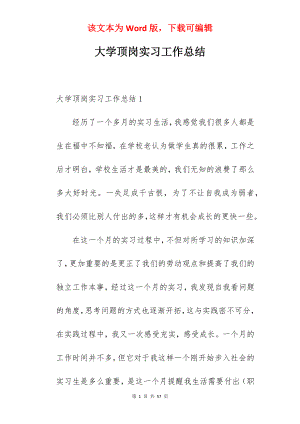 大学顶岗实习工作总结_1.docx