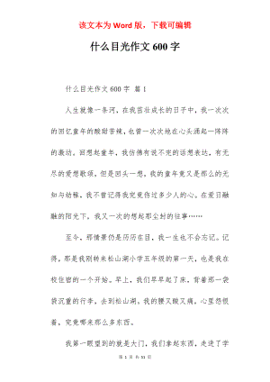 什么目光作文600字.docx