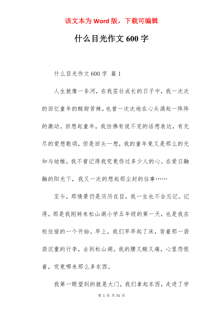 什么目光作文600字.docx_第1页