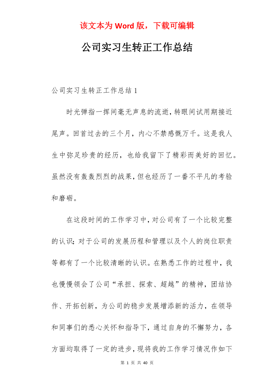 公司实习生转正工作总结.docx_第1页