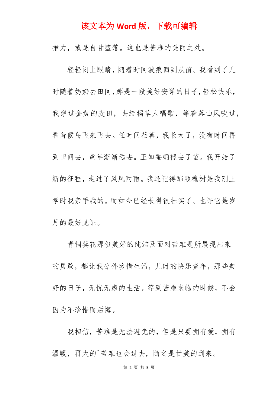 爱与苦难作文.docx_第2页